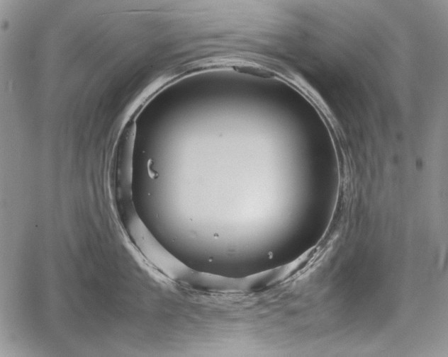 X0000067910909200604171335