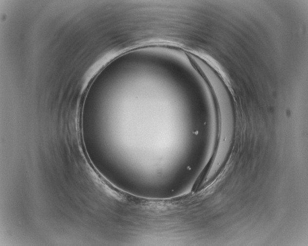 X0000067910910200604171335