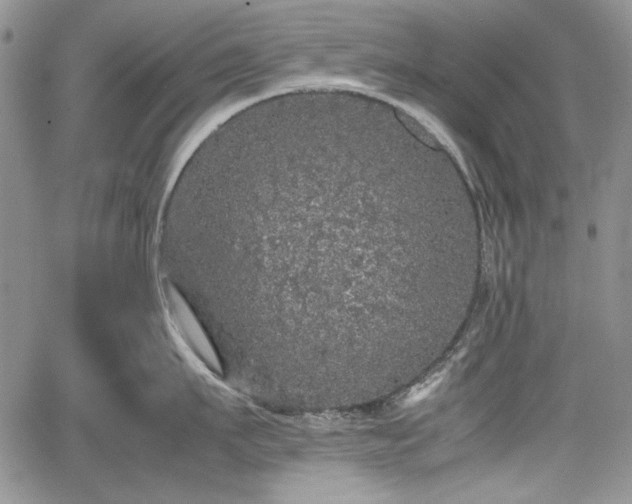 X0000067910911200604171335