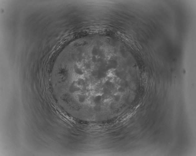 X0000067910913200604171335