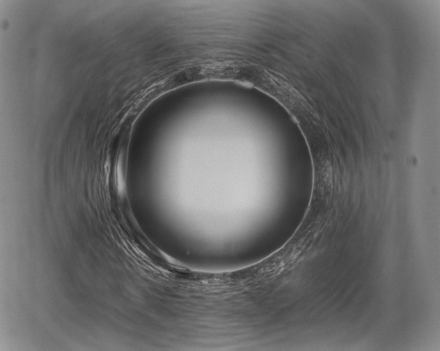 X0000067910914200604171335