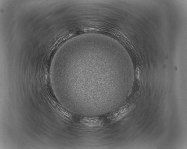 X0000067910915200604171335