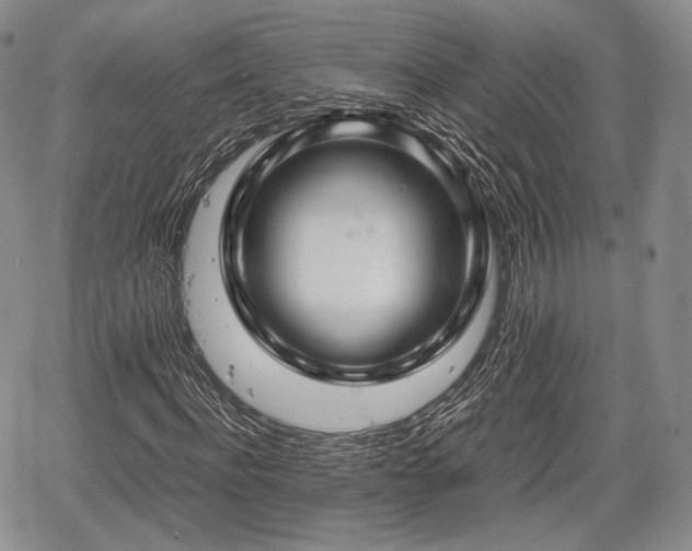 X0000067910916200604171335