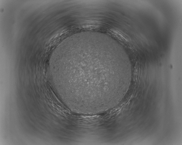 X0000067910917200604171335