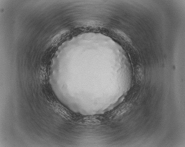 X0000067910918200604171335