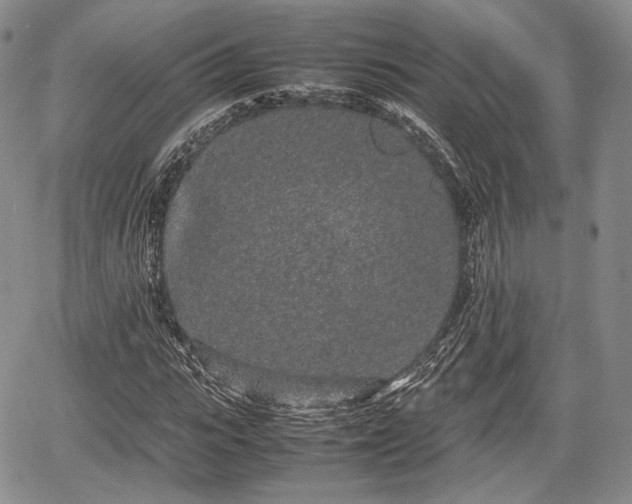 X0000067910919200604171335