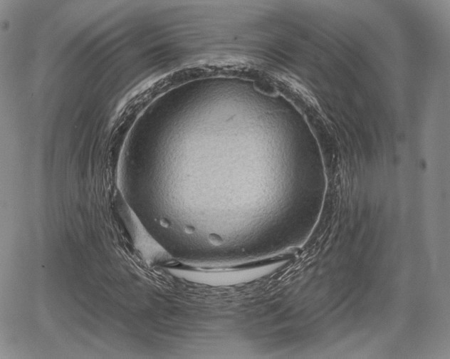 X0000067910920200604171335