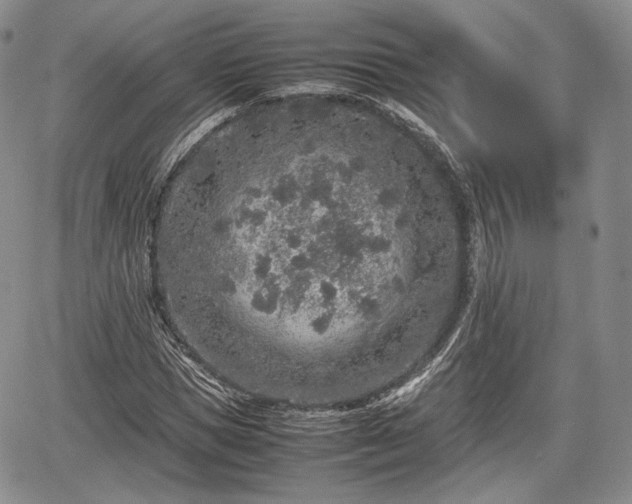 X0000067910921200604171335