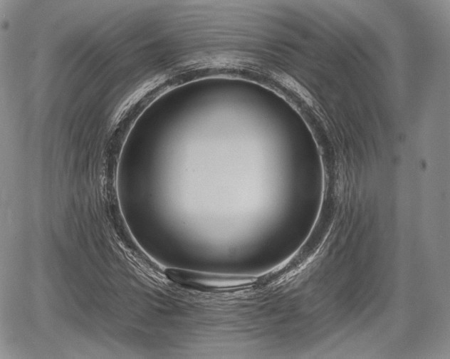 X0000067910922200604171335