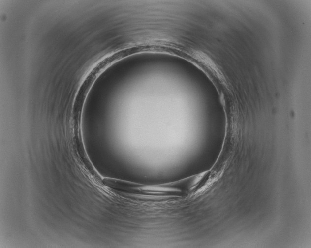 X0000067910924200604171335