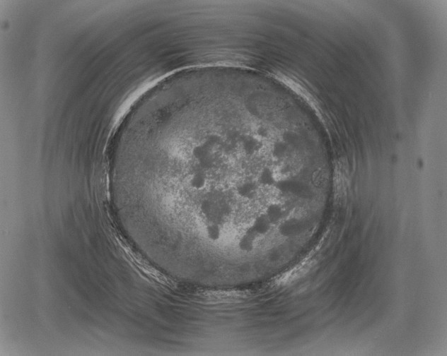 X0000067910925200604171335