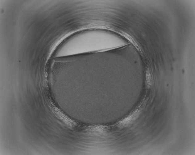 X0000067910926200604171335