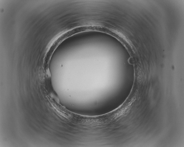 X0000067910927200604171335