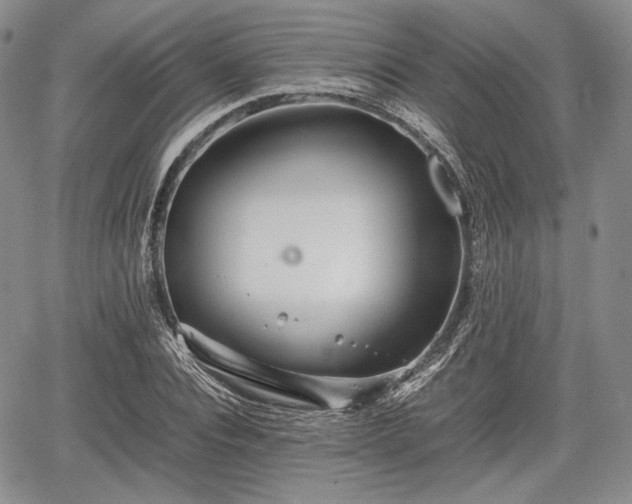 X0000067910928200604171335