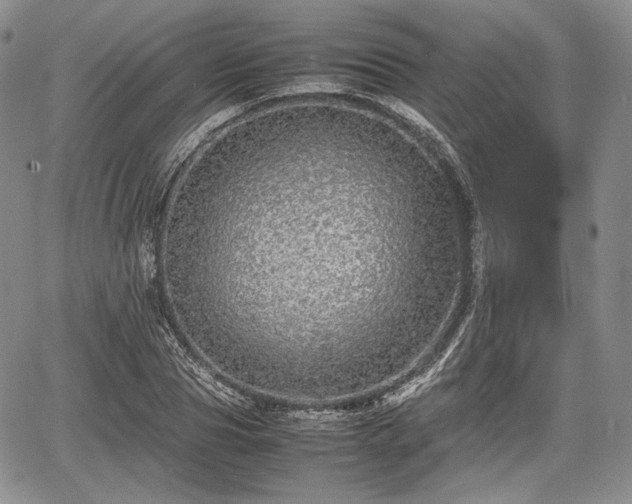 X0000067910929200604171335