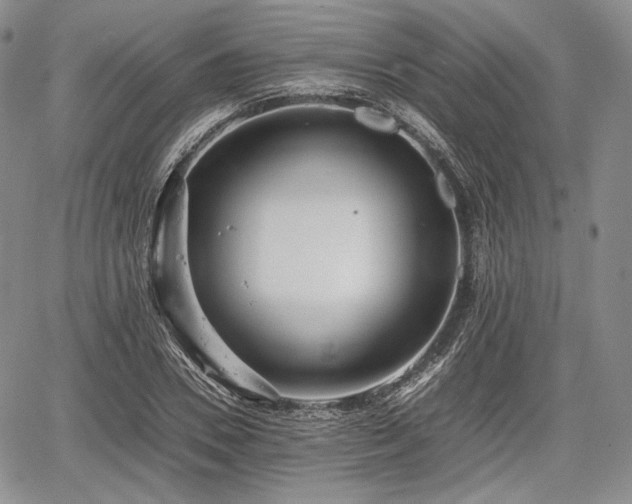 X0000067910930200604171335