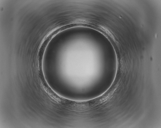 X0000067910931200604171335