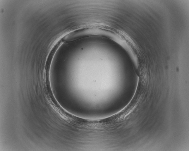 X0000067910932200604171335