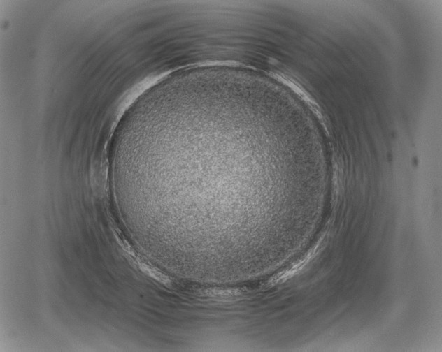 X0000067910933200604171335