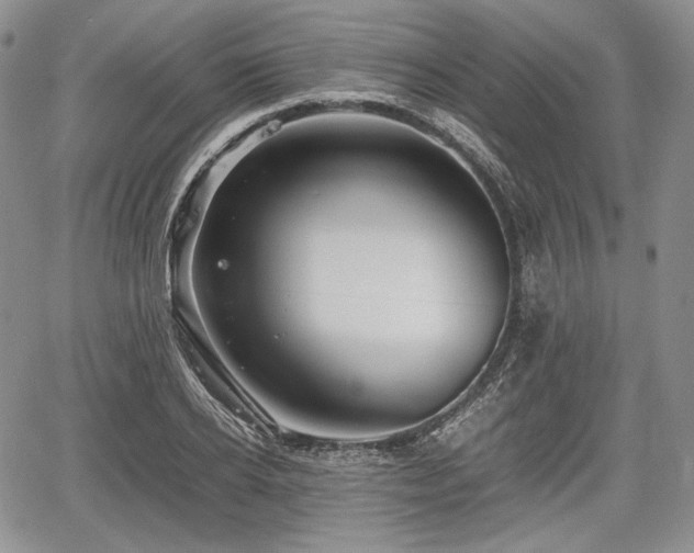 X0000067910934200604171335