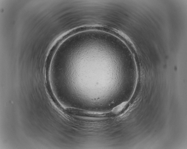 X0000067910935200604171335