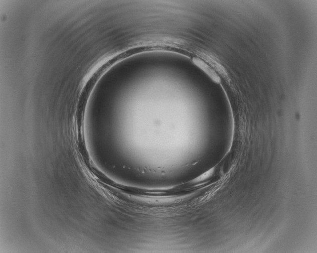 X0000067910936200604171335