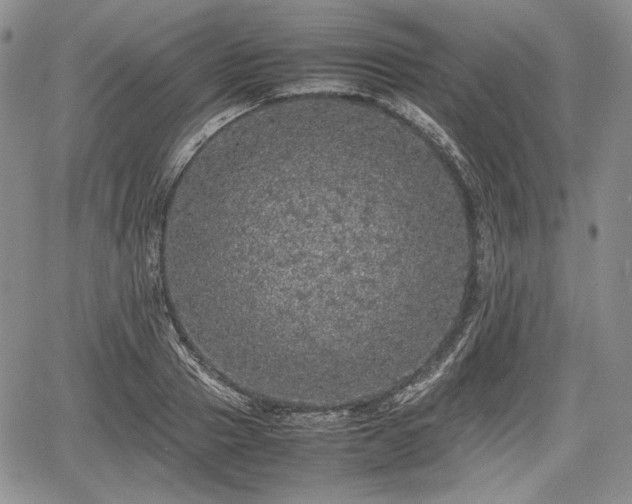 X0000067910937200604171335