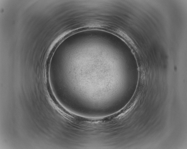 X0000067910939200604171335