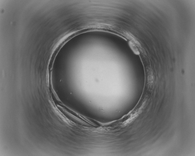 X0000067910940200604171335