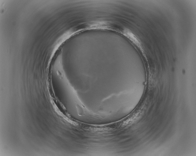 X0000067910941200604171335