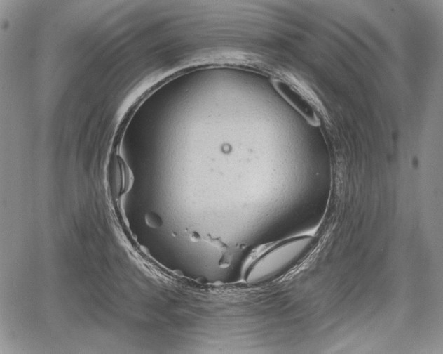 X0000067910944200604171335