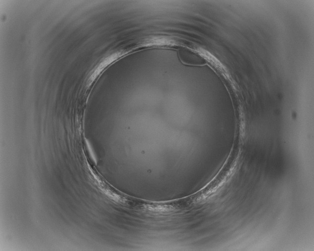 X0000067910945200604171335