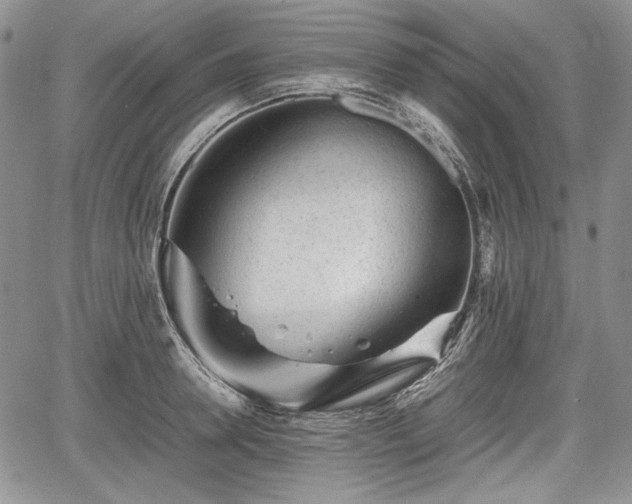 X0000067910946200604171335