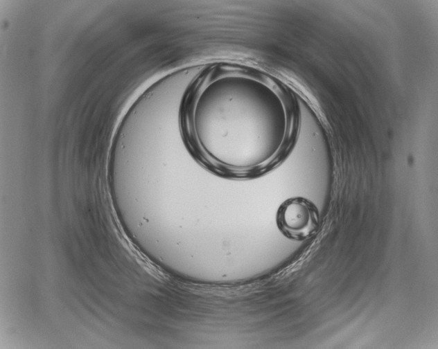 X0000067910948200604171335