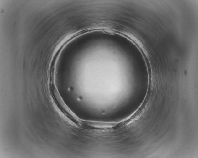 X0000067910949200604171335