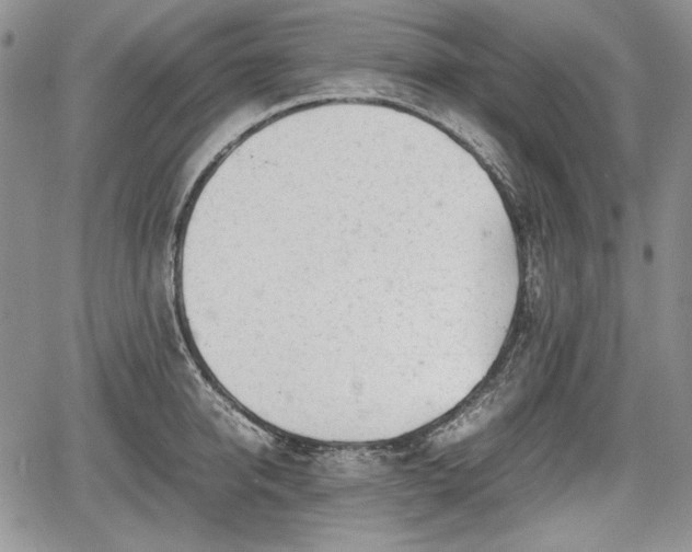 X0000067910950200604171335