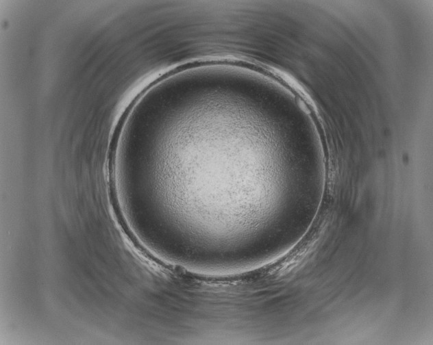 X0000067910951200604171335