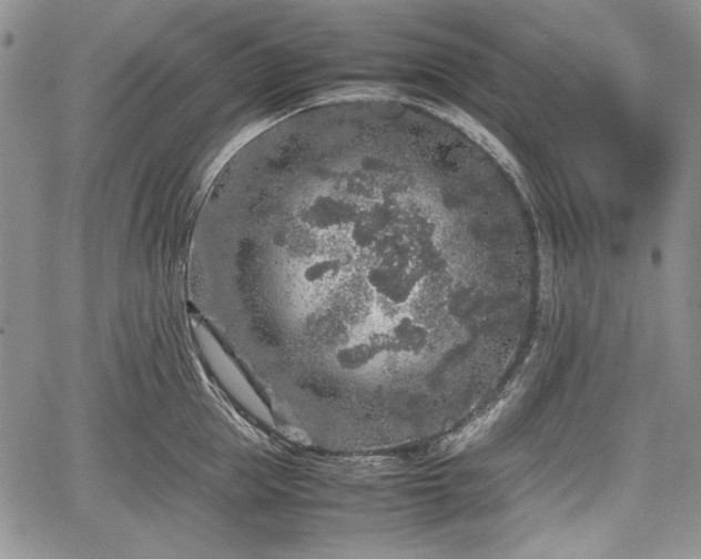 X0000067910953200604171335