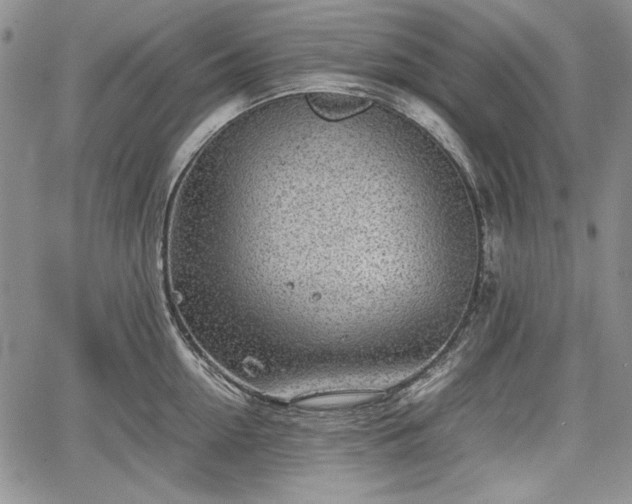 X0000067910954200604171335