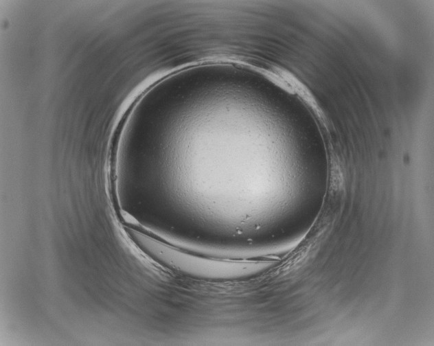 X0000067910955200604171335