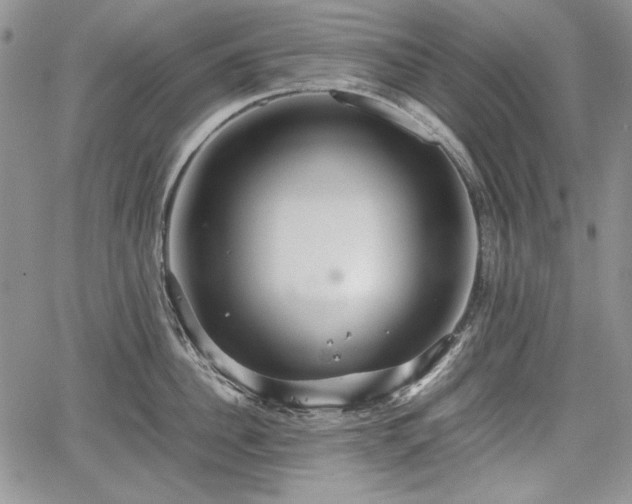 X0000067910956200604171335