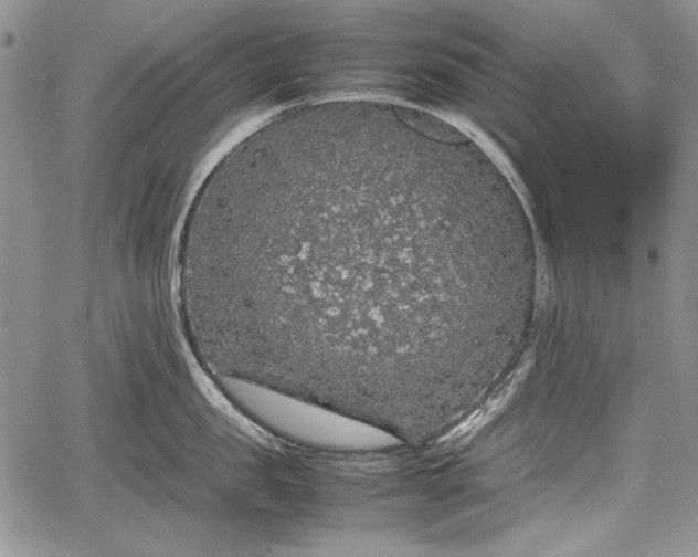 X0000067910957200604171335