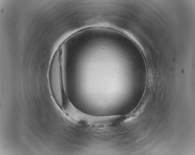 X0000067910959200604171335