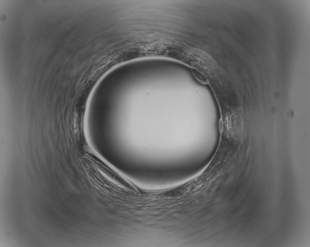 X0000067910963200604171335