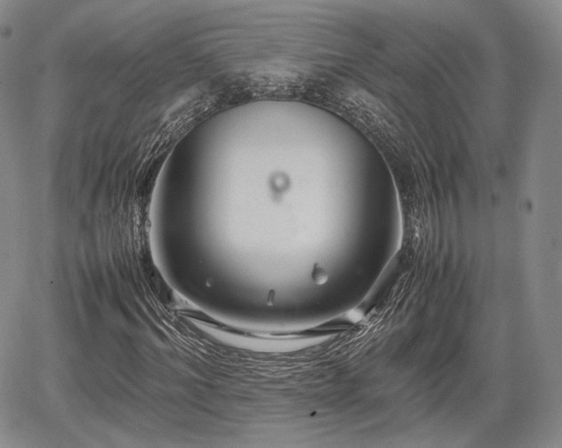 X0000067910964200604171334