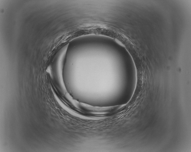 X0000067910965200604171334