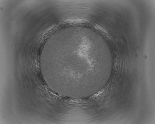 X0000067910966200604171334