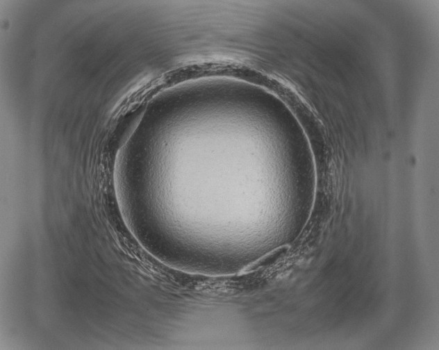 X0000067910967200604171334