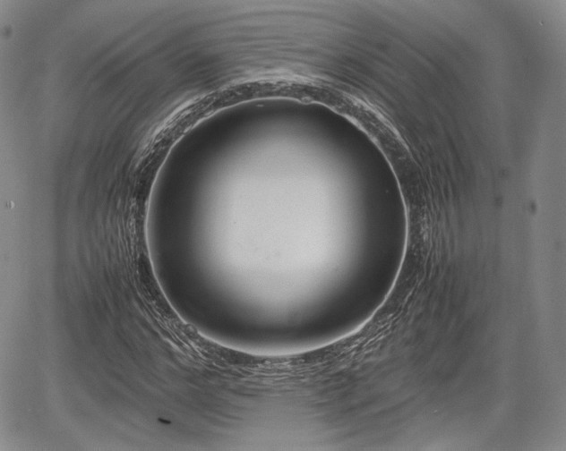 X0000067910968200604171334