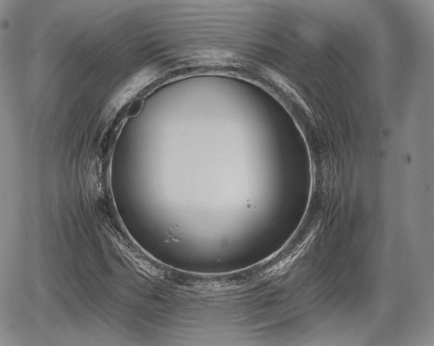 X0000067910970200604171334